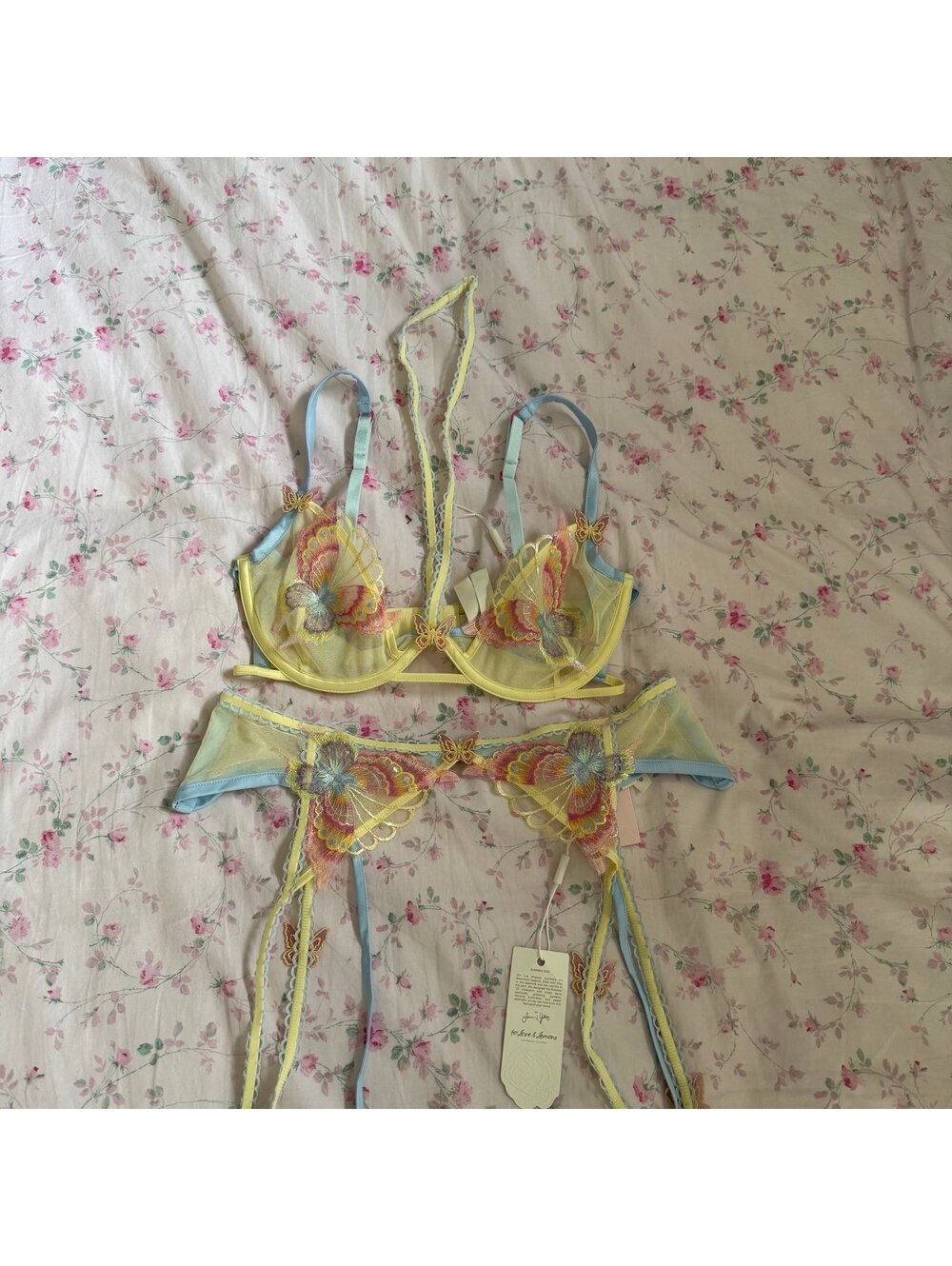 For love and lemons Pastel Papillon longline butterfly bra and Garter
